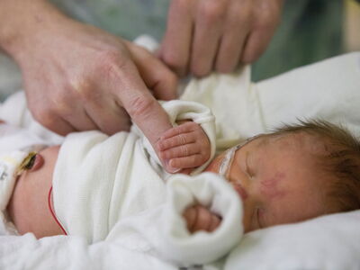 © Colin - stock.adobe.com