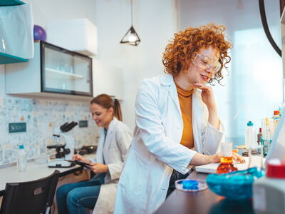 © Dragana Gordic - stock.adobe.com