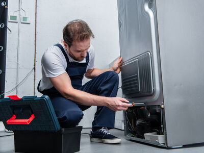 © LIGHTFIELD STUDIOS - stock.adobe.com