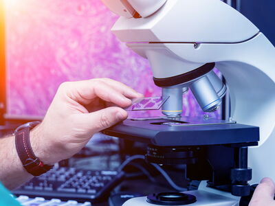 © romaset - stock.adobe.com