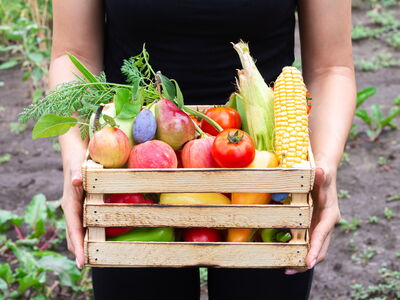 © Дмитрий Сидор - stock.adobe.com