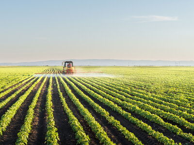 © Dusan Kostic - stock.adobe.com