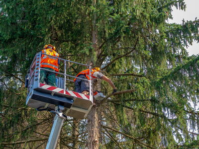 © Sonja Birkelbach - stock.adobe.com