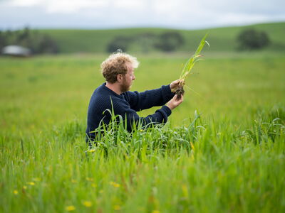 © Phoebe - stock.adobe.com