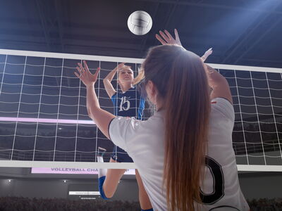 © VIAR PRO studio - stock.adobe.com