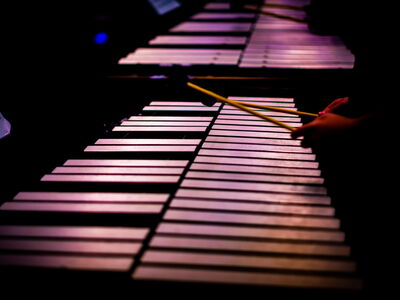 © L Andrew Tucker/Wirestock Creators - stock.adobe.com