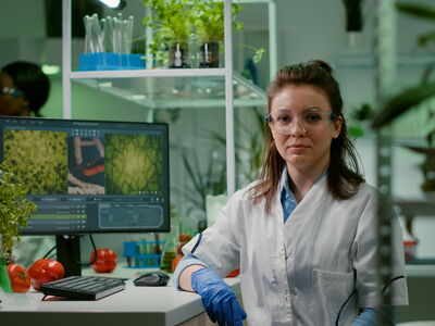 © DC Studio - stock.adobe.com