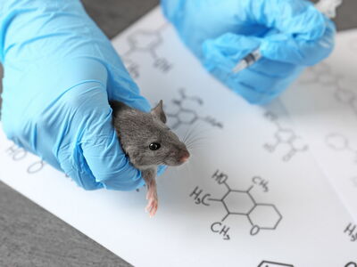 © Africa Studio - stock.adobe.com