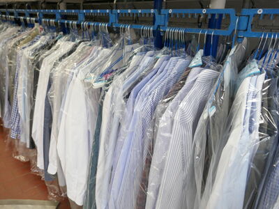 © anela47 - stock.adobe.com