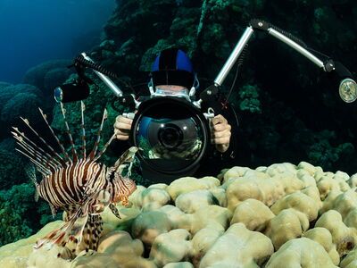 © Subphoto - stock.adobe.com