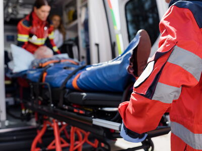 © LIGHTFIELD STUDIOS - stock.adobe.com