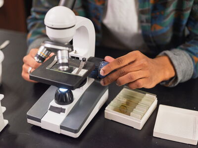 © INDÍGENA - stock.adobe.com