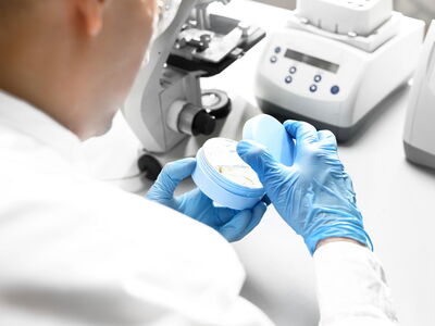 © Robert Przybysz - stock.adobe.com