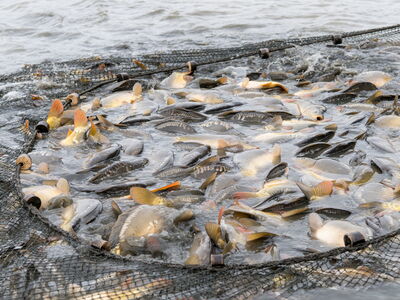 © mhp - stock.adobe.com