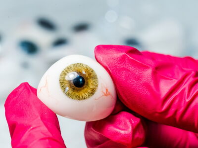 © Vadim - stock.adobe.com