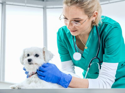 © Daniel Krasoń - stock.adobe.com