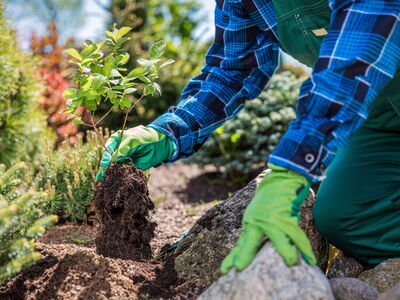 © Photocreo Bednarek - stock.adobe.com