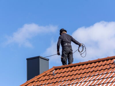 © gabort - stock.adobe.com