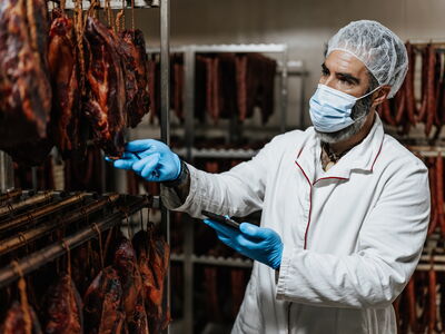 © Dusko - stock.adobe.com