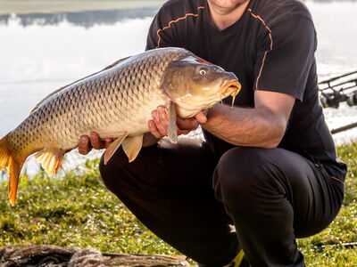 © mitsyko1971 - stock.adobe.com