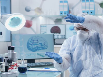 © DC Studio - stock.adobe.com