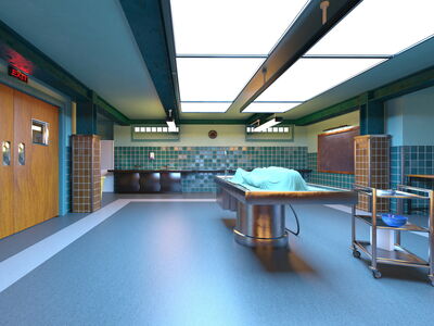 © tsuneomp - stock.adobe.com