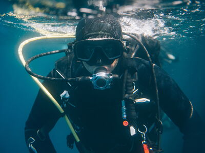 © yossarian6 - stock.adobe.com