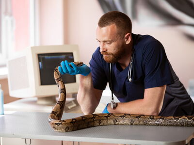 © Andrii Zastrozhnov - stock.adobe.com