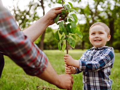 © maxbelchenko - stock.adobe.com