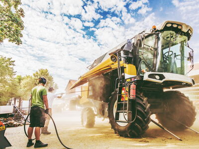 © karepa - stock.adobe.com