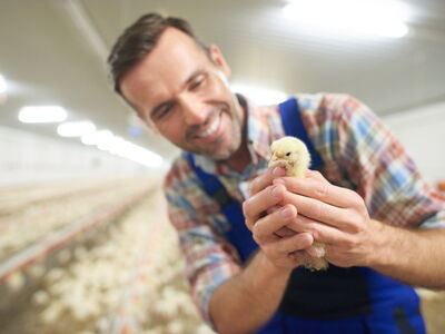 © gpointstudio - stock.adobe.com