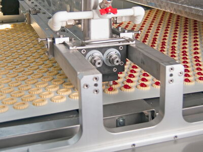 © Laurentiu Iordache - stock.adobe.com