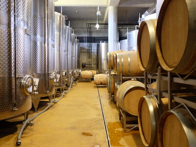 © Calin Stan - stock.adobe.com