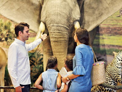 © Kalim - stock.adobe.com