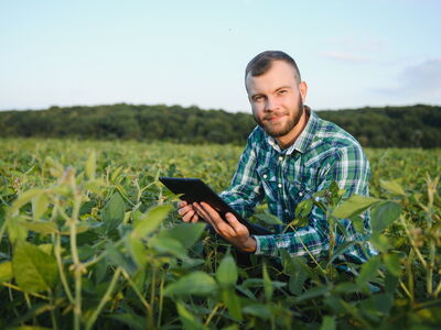 © Serhii - stock.adobe.com