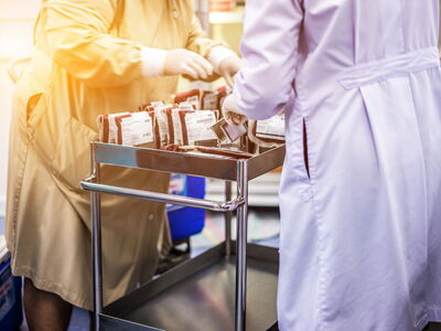 © TEEREXZ - stock.adobe.com