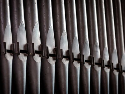 © lemanieh - stock.adobe.com