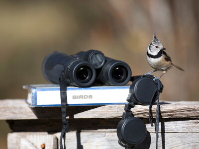 © Pedro Bigeriego - stock.adobe.com