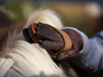 © Budimir Jevtic - stock.adobe.com