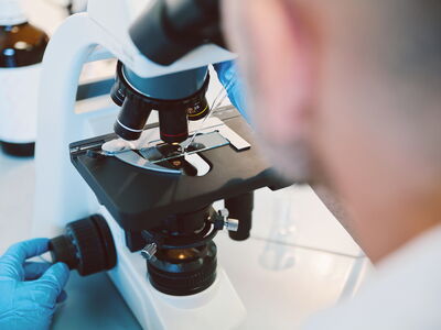 © Cris C. - stock.adobe.com