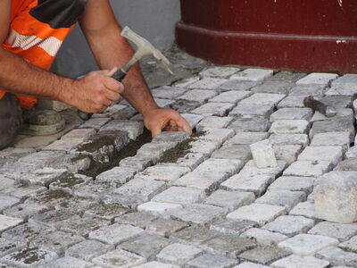 © maho - stock.adobe.com