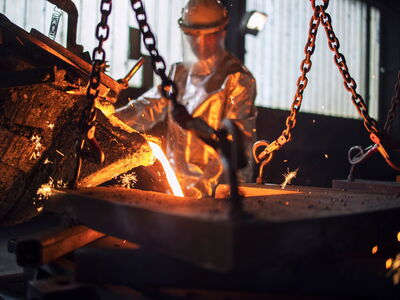 © littlewolf1989 - stock.adobe.com