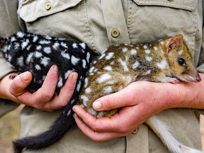 © mindstorm - stock.adobe.com