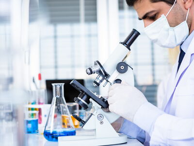 © Thinapob - stock.adobe.com