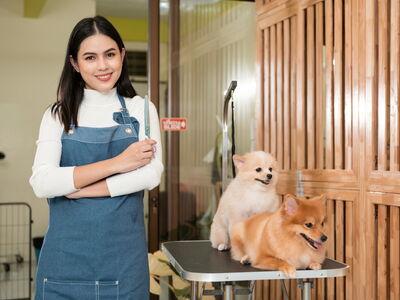 © tonefotografia - stock.adobe.com