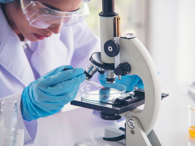 © aFotostock - stock.adobe.com