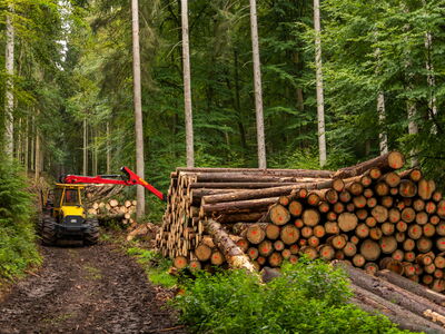 © Werner - stock.adobe.com