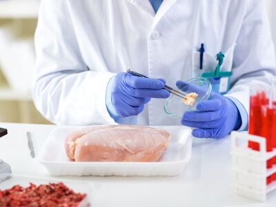 © didesign - stock.adobe.com