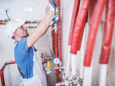 © Tomasz Zajda - stock.adobe.com