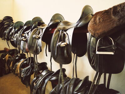 © S.Myshkovsky - stock.adobe.com